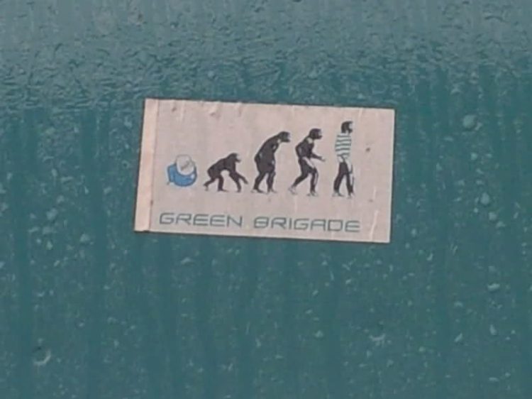GB Evolution sticker