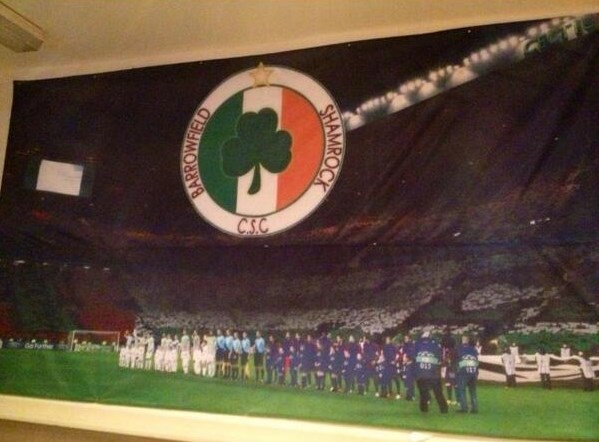 Barrowfield Shamrock big