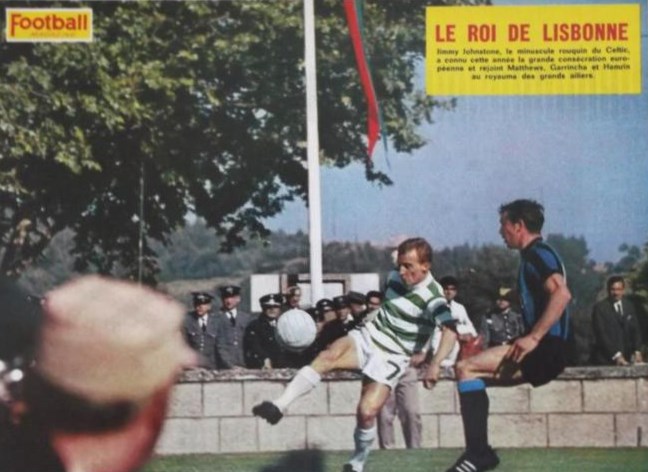 Jinky in Lisbon colour