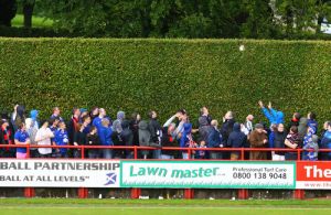 The Journey   The Hedge