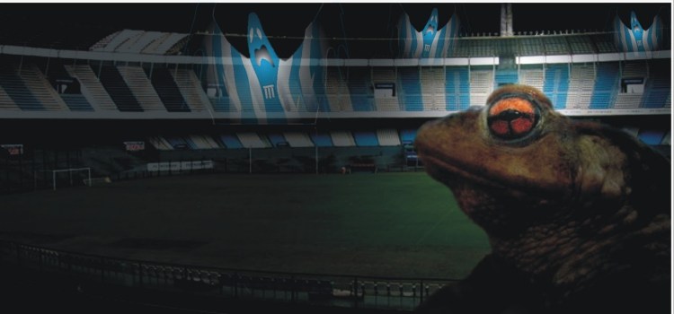 Toads in The Cylinder